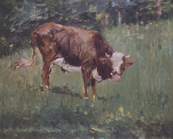 Edouard Manet Jeune taureau dans un pre (mk40) oil painting image